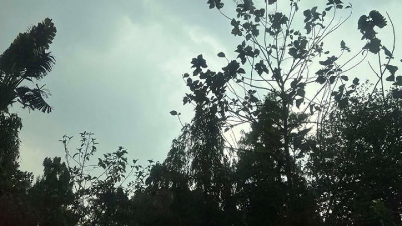 দুপুরেই সন্ধ্যার অন্ধকার, ঝড় হাওয়াসহ বৃষ্টি